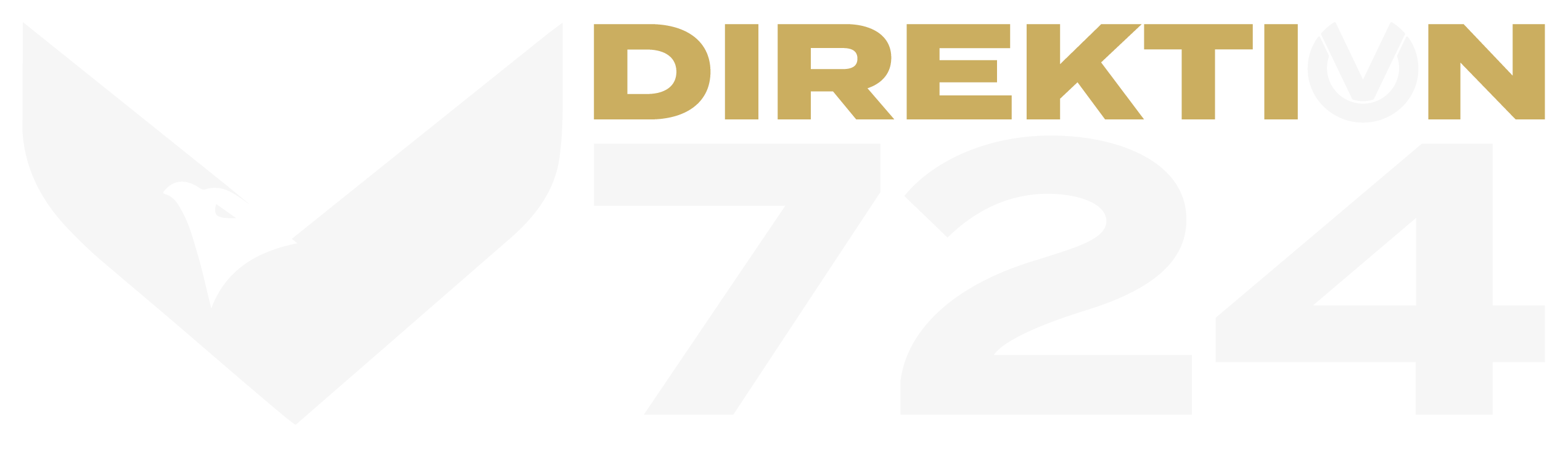 Direktion 724 - Logo
